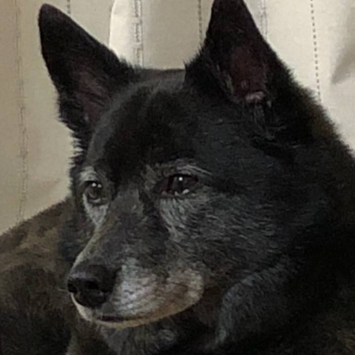 9fa2914a 13a9 4aec 828f 5f44b09afbc4 1517983212108