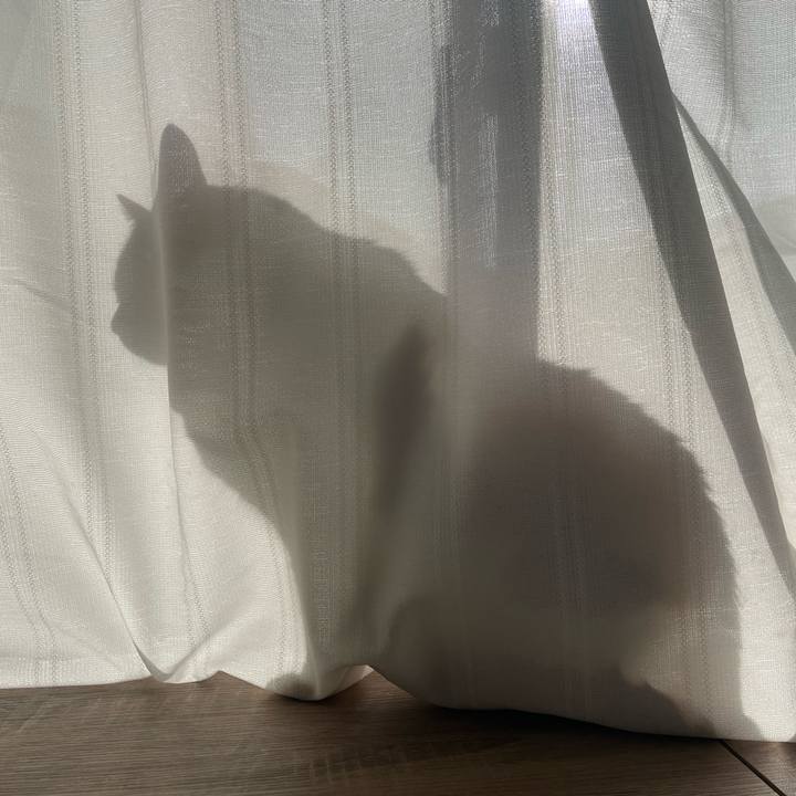 9fa29c06 1171 4bec b1b8 7c4594c9c483 1696978361815