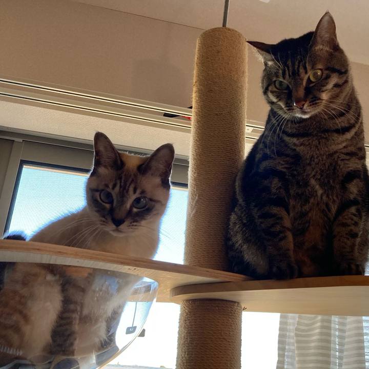 9fa29fb8 de66 47b5 9d1d 0a582580dd98 1641003220134