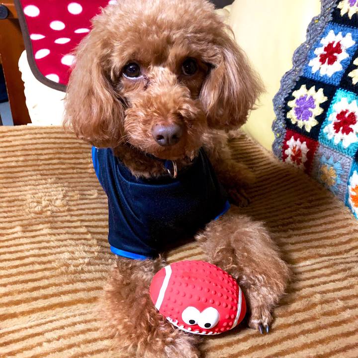 9fa2e18f 6395 40d3 9f2c acb4f4fb8ba6 1554977997462