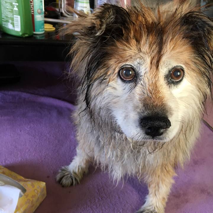 9fa30de2 950f 4890 871a 01766e12fefe 1558156394514