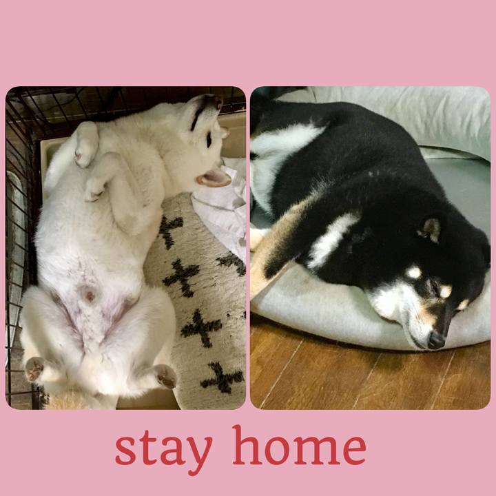 9fa31292 895d 48a9 96c8 478de82b921b 1586293242903