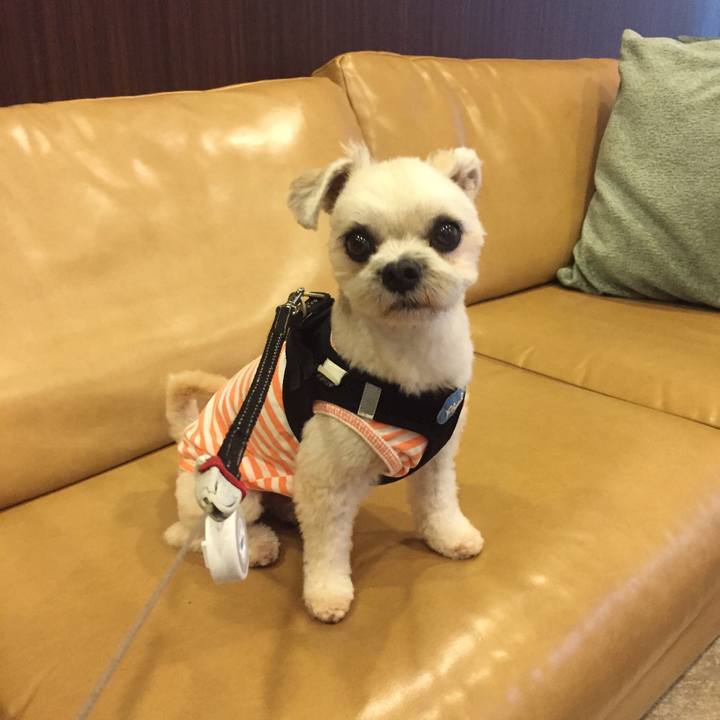 9fa3209c 1099 4ebb 8567 18488cfcfeb2 1534199406141