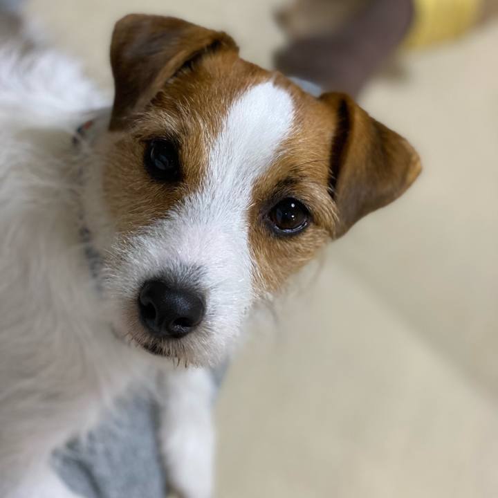 9fa330df c52f 4d2f b979 bdb1ce94fa96 1701604099873