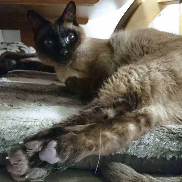 9fa33edf c970 4718 a14d c01df6aea42a 1520688919996