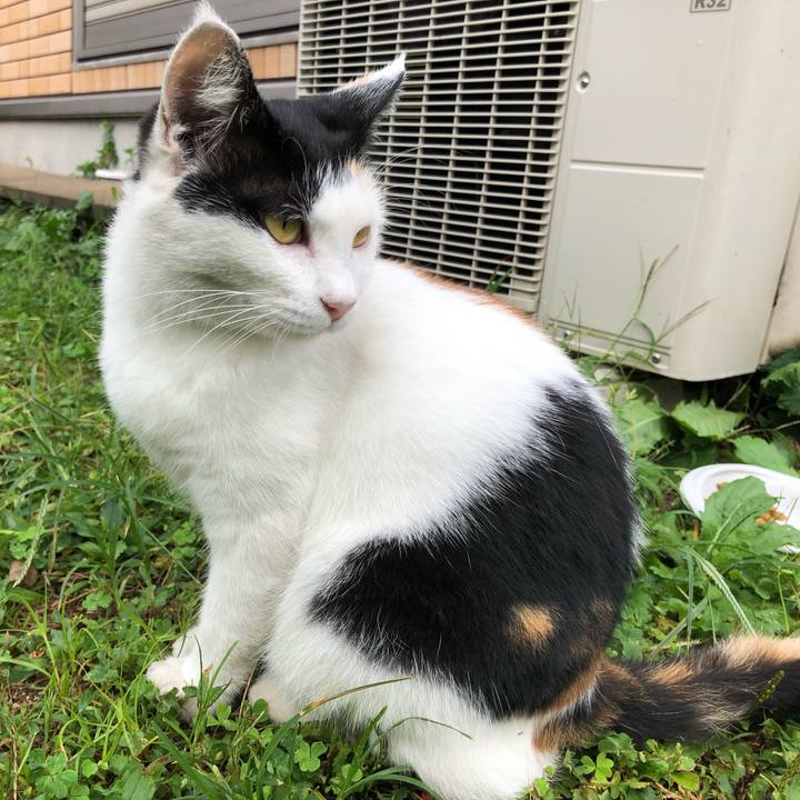 9fa395e7 8914 4e5f ae1b 9e0226b7cae1 1599776006742