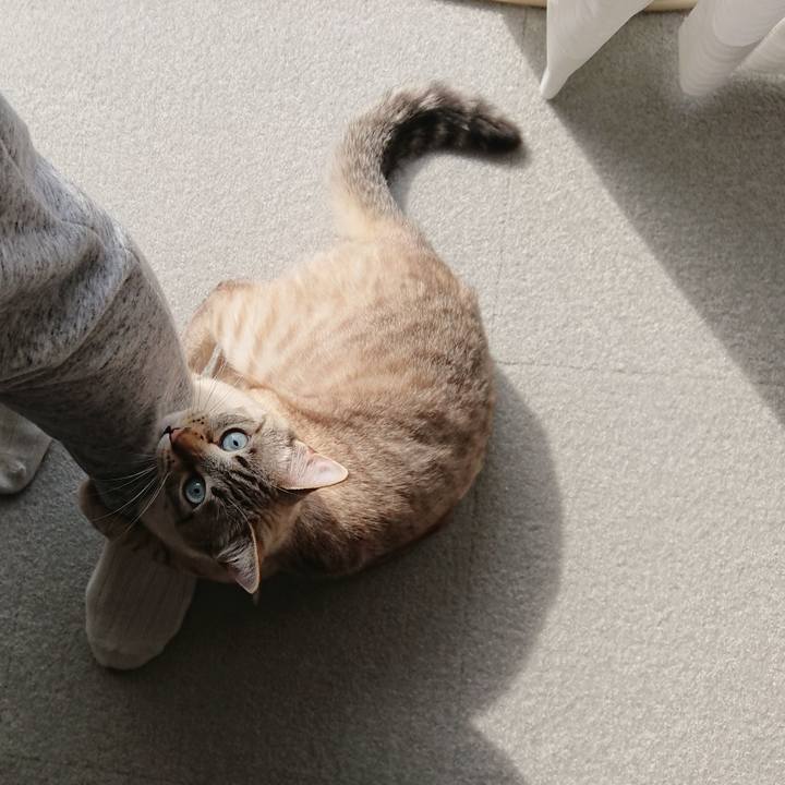 9fa41cb3 7f49 49d7 9756 f99f08900b4f 1520056142236