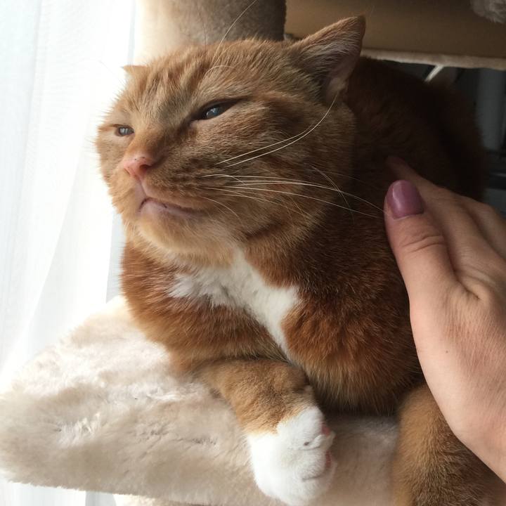 9fa41f1c 2f05 4f84 bcee 7d53e0ed9976 1557353687206