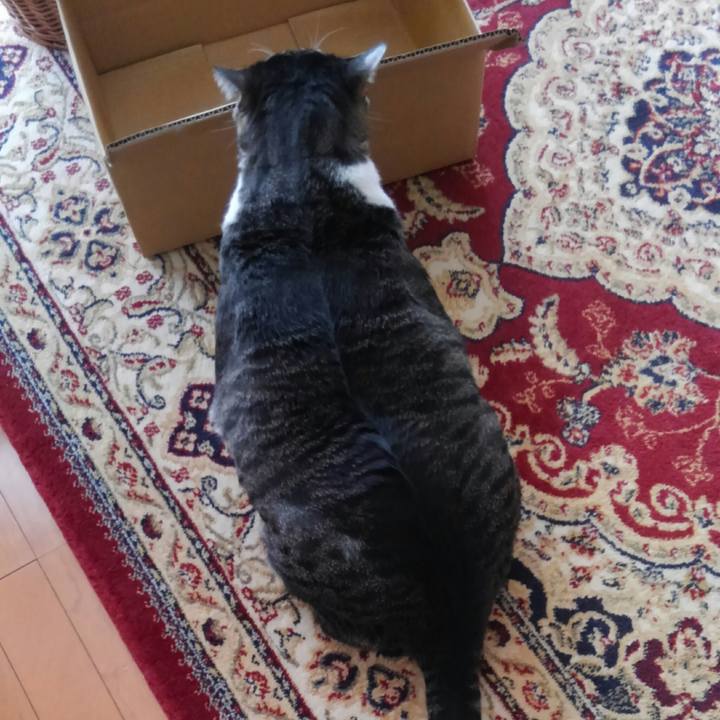 9fa43c81 9c2b 4ec3 88af 047fd1c66bc9 1515374761387