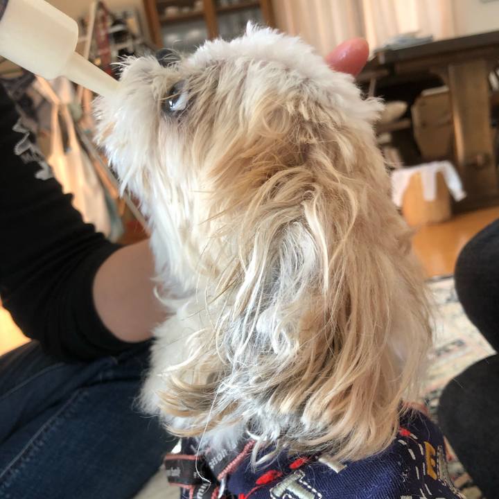 9fa453c2 d3ef 4d36 ae96 087aeffd697e 1636167882003