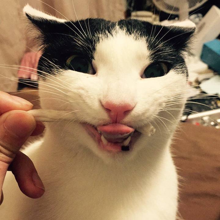 9fa4a536 cfcf 40cd 88b8 7f7b57e9d684 1516956260179