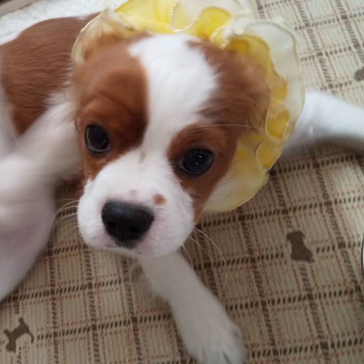 9fa4b4ce 12c3 45d4 b531 a44bba47db9c 1569544365150