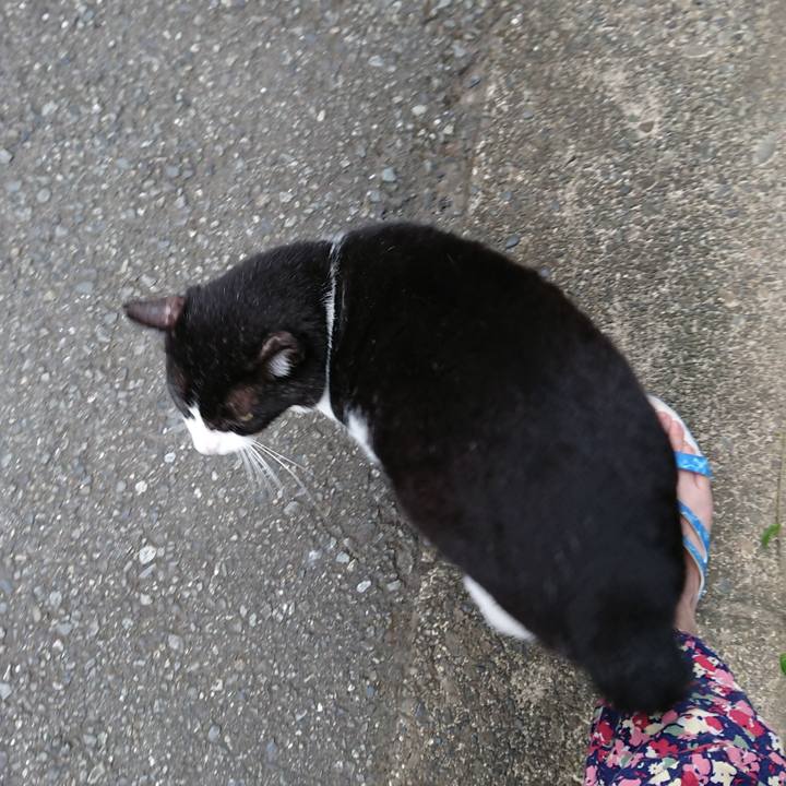 9fa4bebd 624e 48de 88e0 3e56dc9b0200 1534404752794