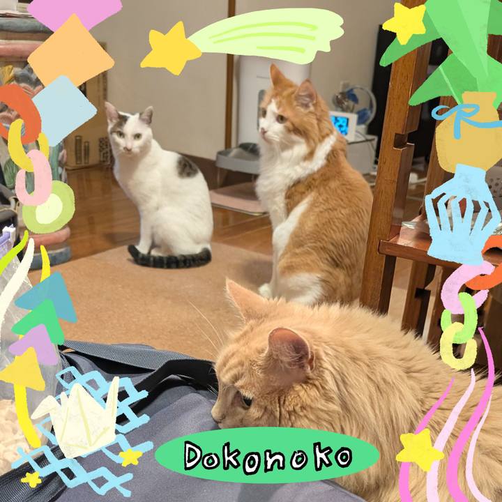 9fa50408 ebea 4b64 ad2f fe0d4cafb93b 1755142907042