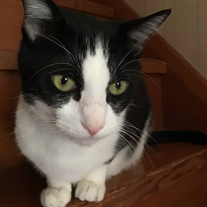 9fa525e8 d729 48be b40b 34531934cdd3 1760496991356