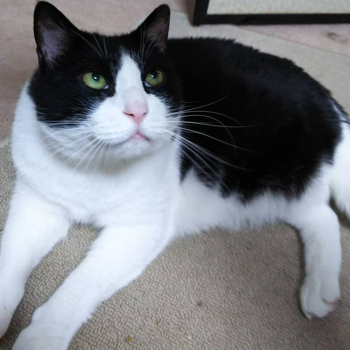 9fa529ca 8957 453e 9f5e c19027c9958d 1532641232361