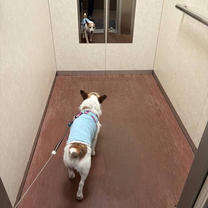 9fa5498b a0f4 409f 8e06 3ec9c18656ac 1754608624741