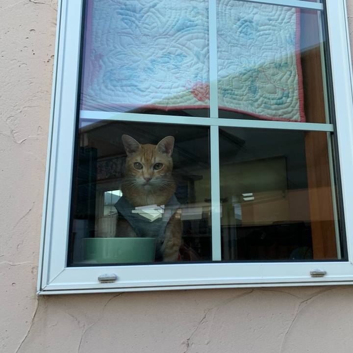 9fa55640 d5ba 4479 b6fb 69ca5cbaf324 1628249321984