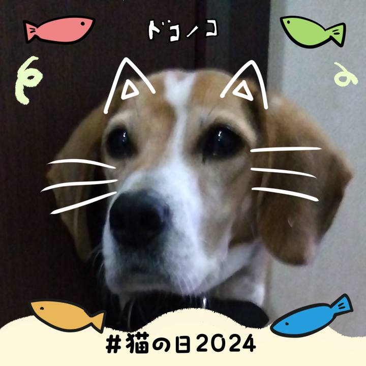 9fa585af e76c 4774 ba26 f809d0fdcc64 1708596724649