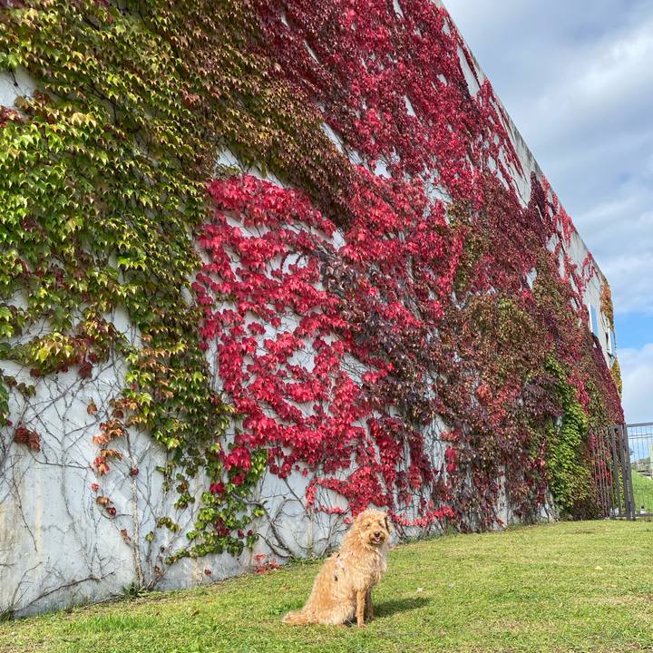 9fa59d89 3247 4c99 b7db e7409bc8d264 1633133476944