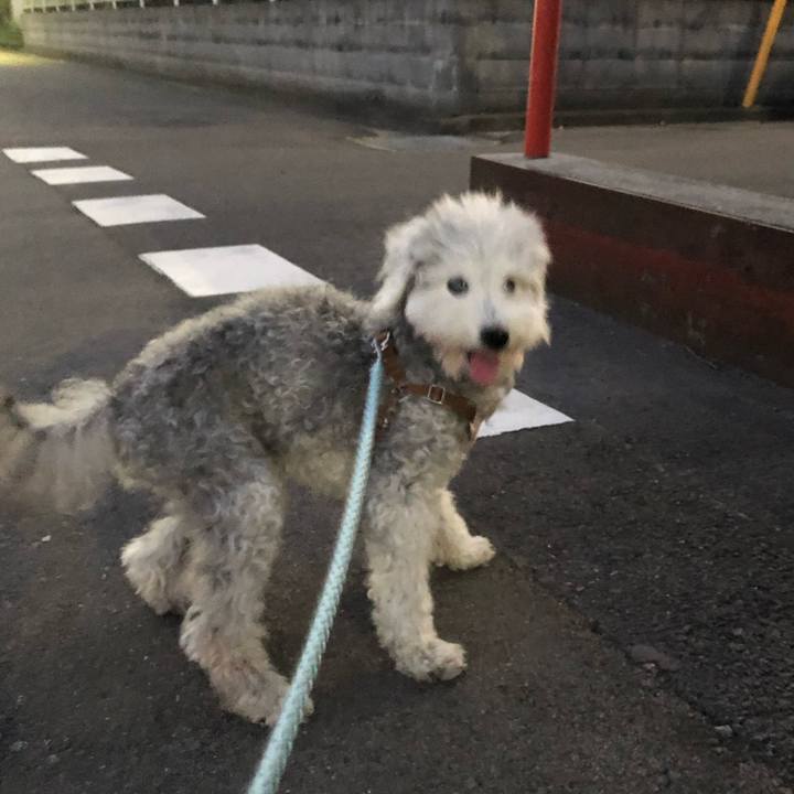 9fa59fed a094 4f44 8e78 d265c98177ad 1657451603036