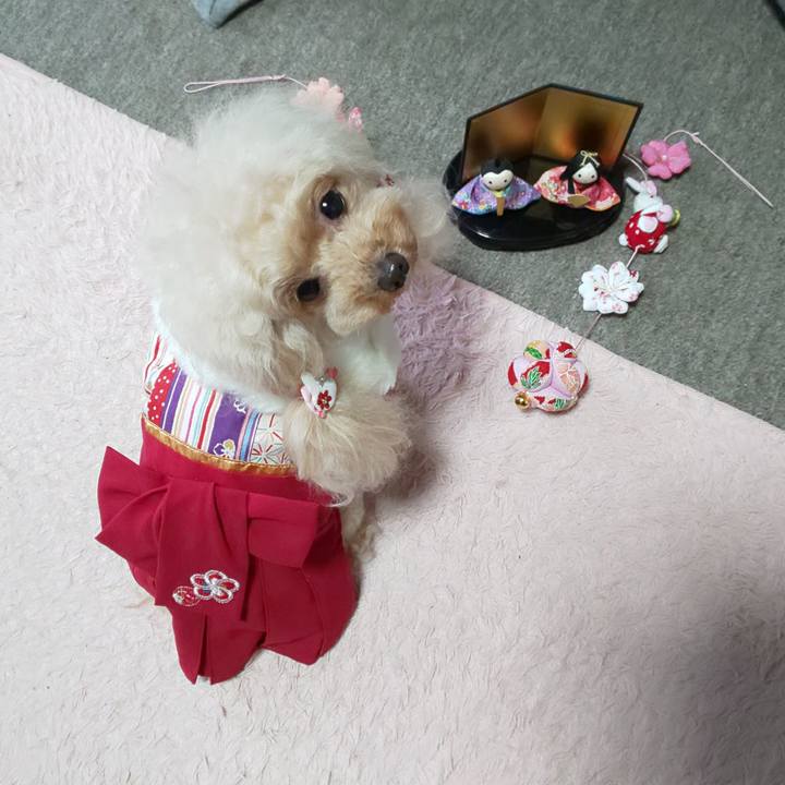 9fa5ee46 9429 4aff 8423 24746b0d6983 1583241407066