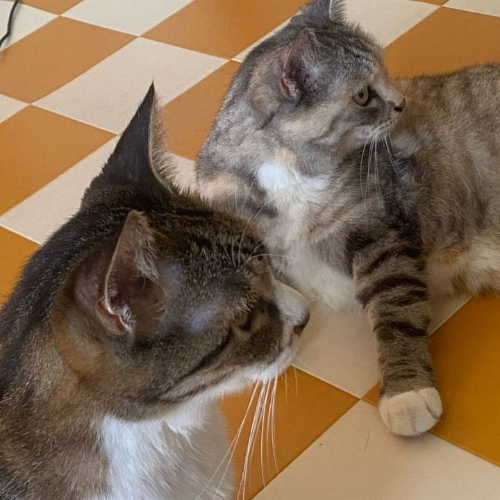 9fa61f09 a489 493f bf74 379ac5e2d647 1722664055185