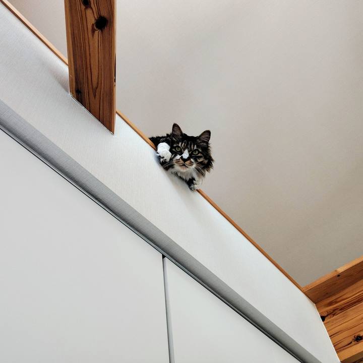 9fa61fba 9222 4908 9713 9788860d8a84 1762068201543