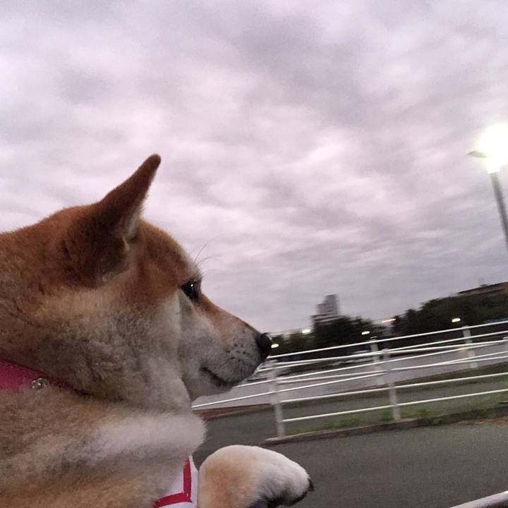 9fa6656d 139f 4f56 a5a8 665392a69365 1568371583427