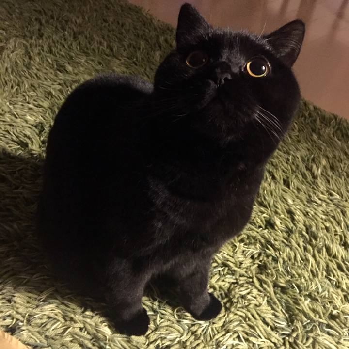 9fa67bb6 4aa1 4014 9f50 f825ffe20b60 1521815551083