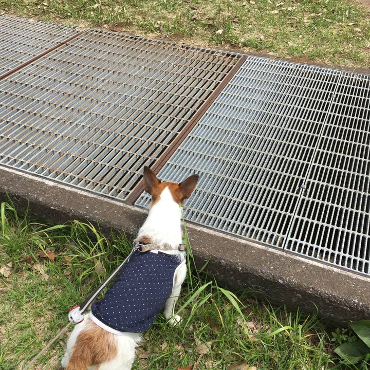 9fa6c7b3 627d 41cb 9c9c b2a9f956f988 1557544809269