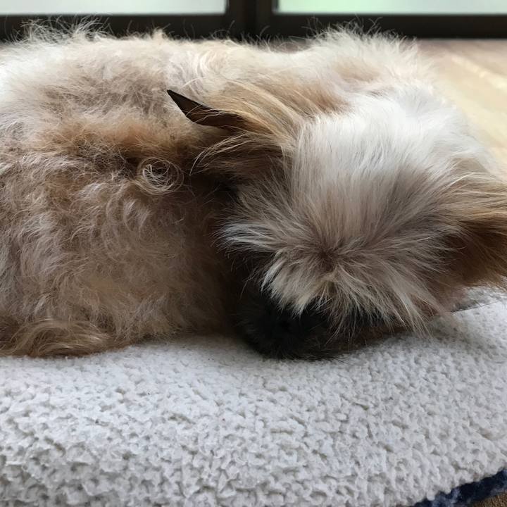 9fa6e28b 4ca4 44e0 9039 ae339de63fa7 1529294650616