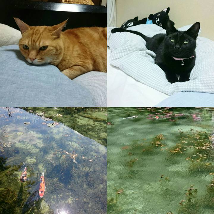 9fa6e798 ed38 480f 92a0 db48f0531e3f 1528038465166