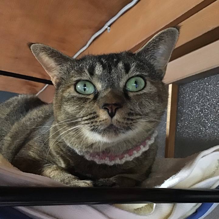 9fa6eee9 f1e3 43a1 962a fa27b3668dda 1693740487766