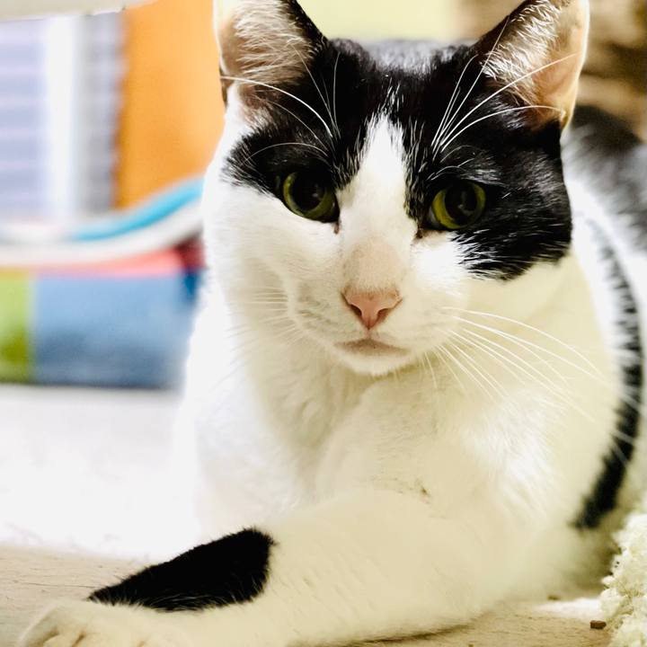 9fa6f10a 8212 414a 87a6 b2b449b3afda 1607476537647