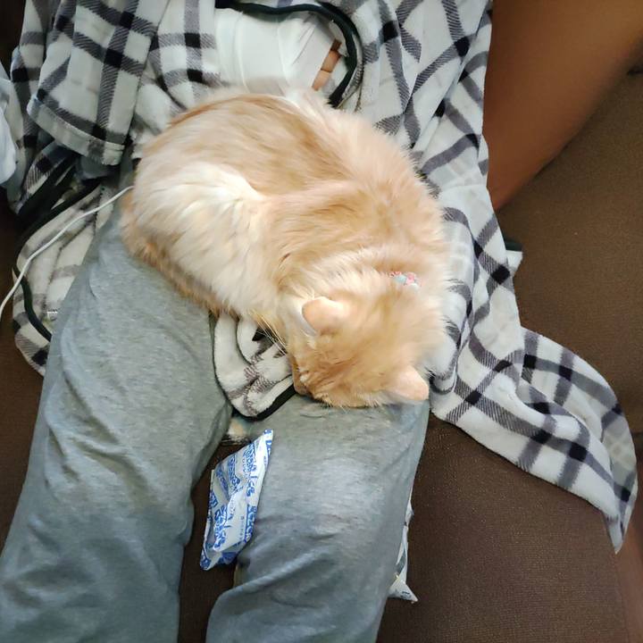 9fa7033d 127b 47a4 a726 e75f826da4cc 1704241019119