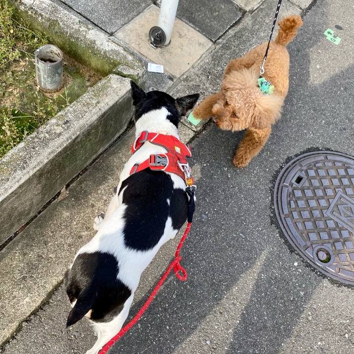 9fa70719 9117 475f 8cb4 d1d661e2452c 1622849353003