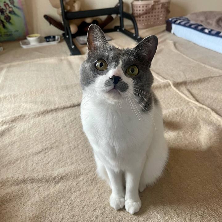 9fa74ffd a6f6 46ab 9cda 4bc2c6c00070 1680648263627