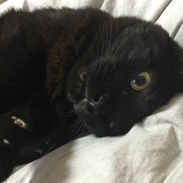 9fa7c101 f7d7 4553 984d d20a05a9f177 1512255134540