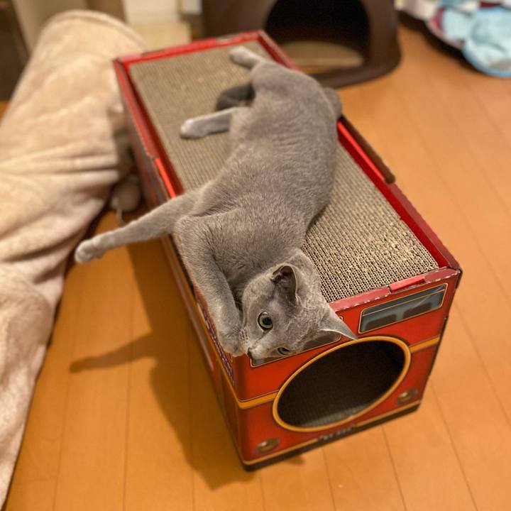 9fa7d3a8 5cc9 46ce 86f0 e90c9453c1c0 1692763003112