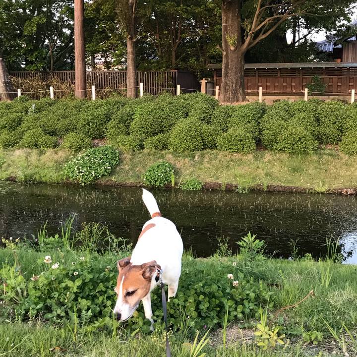 9fa805a5 fc34 4e35 bc53 ecd75066a3b6 1524922307047