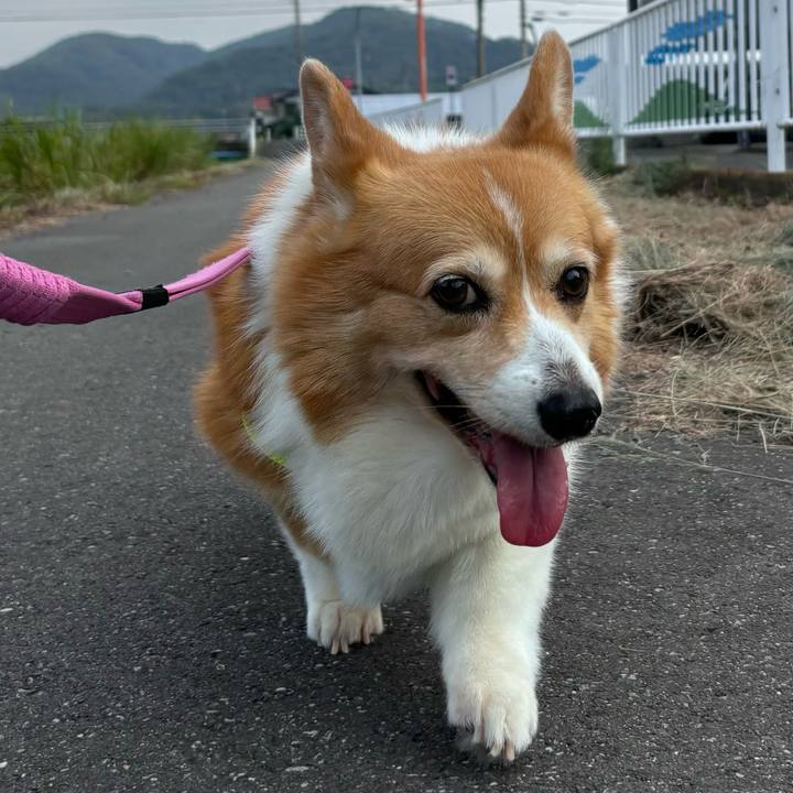 9fa8270b edc1 4bd4 bf27 d28ed991c4e8 1756251268623