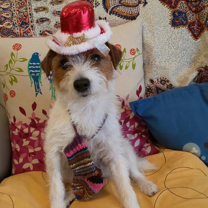 9fa839a7 1557 446f a77a e4182c27e759 1577236037545