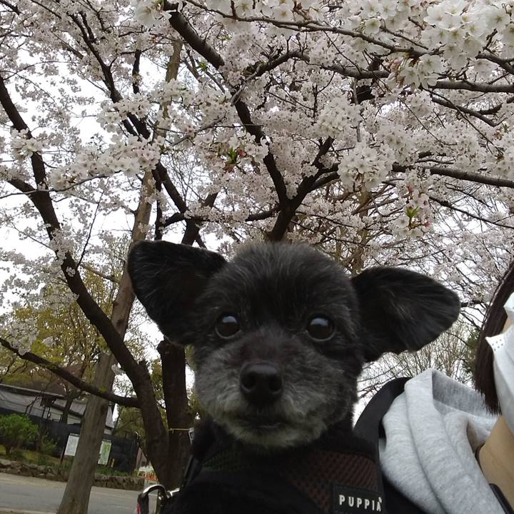 9fa859ee 32be 4946 b27f 794c0ae09ad6 1616913086680