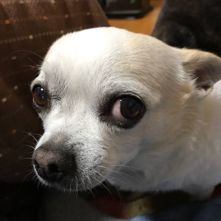 9fa8ac90 d4c4 43b9 bb77 d4a971a7b2df 1514466843750