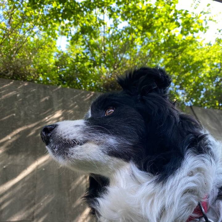 9fa8c320 76ce 4954 872e 9932ae71a25b 1652834902763