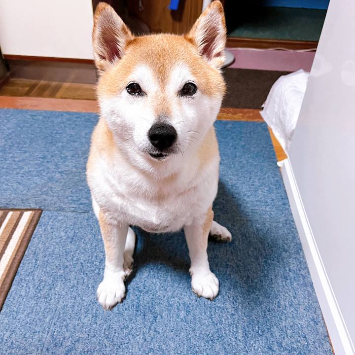 9fa8cf2c d63e 48fc 8ef4 d8a8ca67f986 1721129156242