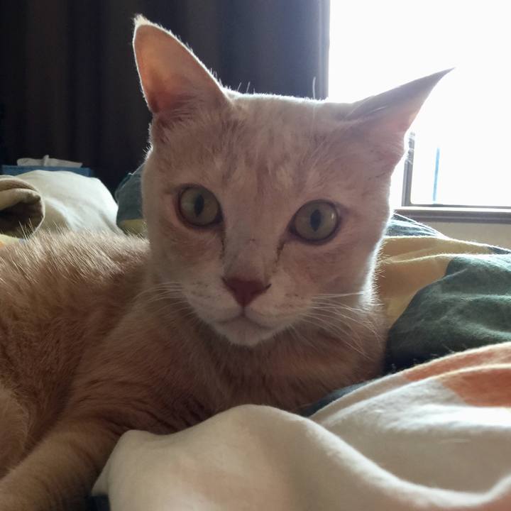 9fa8d270 5b49 4e47 af9d 71fdad0736d3 1569895676096