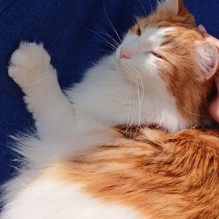 9fa93b12 8186 4024 bde7 edf0b963c1fe 1583472846266