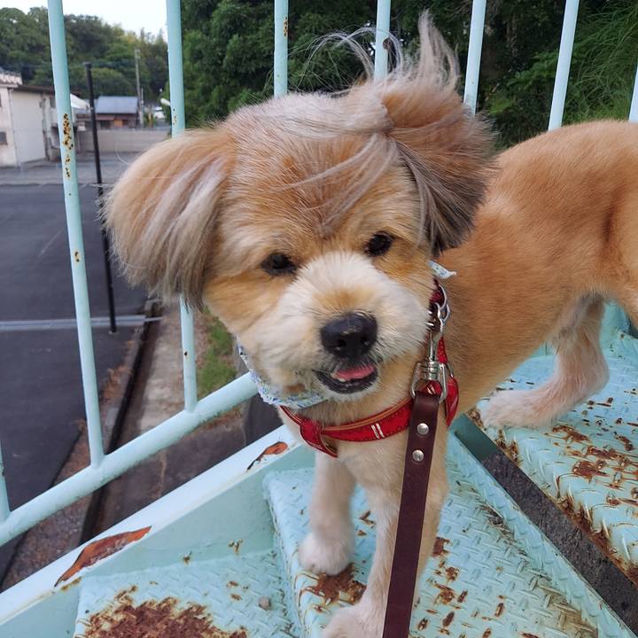 9fa93c02 43d7 4c73 8a7a 59b8bdf053d4 1624961893084